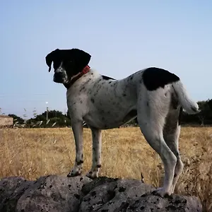 Mauto , Modica Italia